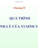 Bài giảng Vi sinh vật học đại cương: Chương 4 - ThS. Trịnh Ngọc Nam