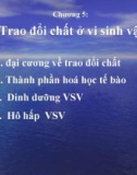 Bài giảng Vi sinh vật học: Chương 5 - Trao đổi chất ở vi sinh vật