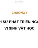 Bài giảng Vi sinh đại cương: Chương 1 - Đào Hồng Hà