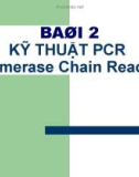 Bài 2 - KỸ THUẬT PCR (Polymerase Chain Reaction)