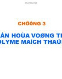 Bài giảng Hoá học và hoá lý polyme: Chương 3