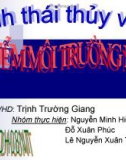 Thuyết trình Ô nhiễm môi trường nước