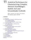 Geochemical and Hydrological Reactivity of Heavy Metals in Soils - Chapter 11