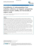 Immobilization of carboxypeptidase from Sulfolobus solfataricus on magnetic nanoparticles improves enzyme stability and functionality in organic media