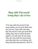 Hợp chất Flavonoid trong thực vật có hoa