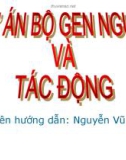 Dự án bộ gen người và tác động