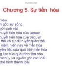 Bài giảng Sinh học đại cương - Chương 5: Sự tiến hóa