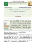 A non-pathogenic environmental isolate of Pseudomonas aeruginosa MCCB 123 with biotechnological potential