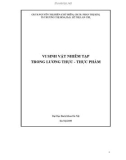 VI SINH VẬT NHIỄM TẠP TRONG LƯƠNG THỰC - THỰC PHẨM Phần 1