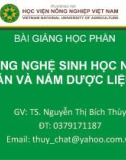 Bài giảng Công nghệ sinh học nấm ăn và nấm dược liệu: Chương 5 - TS. Nguyễn Thị Bích Thùy