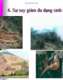 Sự suy giảm đa dạng sinh học