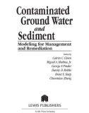 Contaminated Ground Water and Sediment: Modeling for Management and Remediation