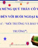 Báo cáo: Môi trường và bảo vệ môi trường