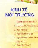 Kinh tế môi trường