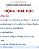 Động hóa học