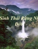 Thuyết trình: Hệ sinh thái rừng nhiệt đới