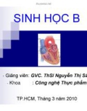 SLIDE BÀI GIẢNG SINH HỌC - CHƯƠNG IV: HÔ HẤP