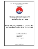 Tiểu luận Cơ sở văn hóa Việt Nam: Những yếu tố tác động và tạo nên đặc trưng văn hóa của vùng Tây Nam Bộ