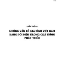 Những biến đổi gia đình Việt Nam trong quá trình phát triển: Phần 2