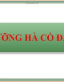 Lịch sử về lưỡng hà cổ đại