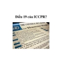 Điều 19 của ICCPR?