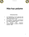 Hóa học Polyme