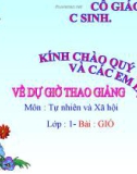 Bài giảng TNXH 1 bài 32: Gió