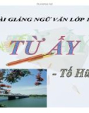 Bài giảng Ngữ văn 11 - Bài: Từ ấy