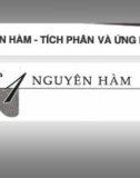 Nguyên hàm - Tích phân và ứng dụng