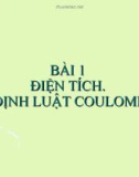 Bài 1: Điện tích.Định luật Cu-lông - Bài giảng điện tử Vật lý 11 - T.Đ.Lý