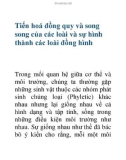 Tiến hoá đồng quy