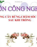 Slide bài Trồng cây rừng - Công nghệ 7 - GV.V.H.Quyên