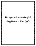 Du ngoạn thu về trên phố cảng Busan – Hàn Quốc