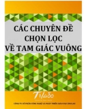 Các chuyên đề về tam giác vuông