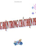 Bài 14: Dòng điện trong chất điện phân - Bài giảng điện tử Vật lý 11 - T.Đ.Lý