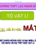 Bài giảng Vật lí 11 - Bài 31: Mắt