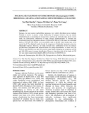 Molecular taxonomy of some sponges (Demospongiae) using ribosomal (18s rrna) and partial mitochondrial (coi) genes