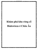 Khám phá khu rừng cổ Bialowieza ở Châu Âu