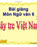 Bài giảng Ngữ văn 6: Cây tre Việt Nam