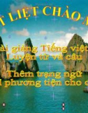 Bài giảng Luyện từ và câu: Thêm trạng ngữ chỉ phương tiện - Tiếng việt 4 - GV.N.Hoài Thanh