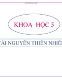 Bài 63: Tài nguyên thiên nhiên - Bài giảng điện tử Khoa học 5 - L.K.Chi