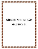 Truyện ngắn: Níu giữ những sắc màu bay đi