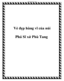 Vẻ đẹp hùng vĩ của núi Phú Sĩ xứ Phù Tang