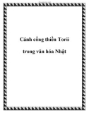 Cánh cổng thiền Torii trong văn hóa Nhật