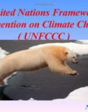 United Nations Framework Convention on Climate Change