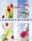 Bài giảng Sinh học 9 bài 4: Lai hai cặp tính trạng