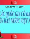 Bài giảng Lịch sử 10 bài 14: Các quốc gia cổ đại trên đất nước Việt Nam