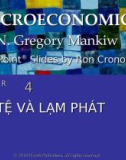 Bài giảng Kinh tế vĩ mô: Chương 4 - N. Gregory Mankiw