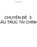 CHUYÊN ĐỀ 3: CÂU TRÚC TÀI CHÍNH