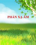 Bài giảng Sinh học 7 bài 11 sách Cánh diều: Phản xạ âm